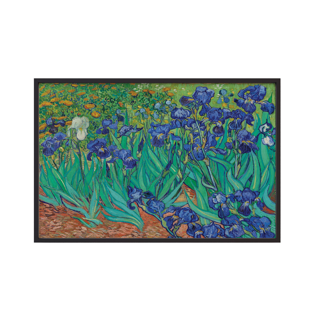 Irises (1889) by Vincent van Gogh