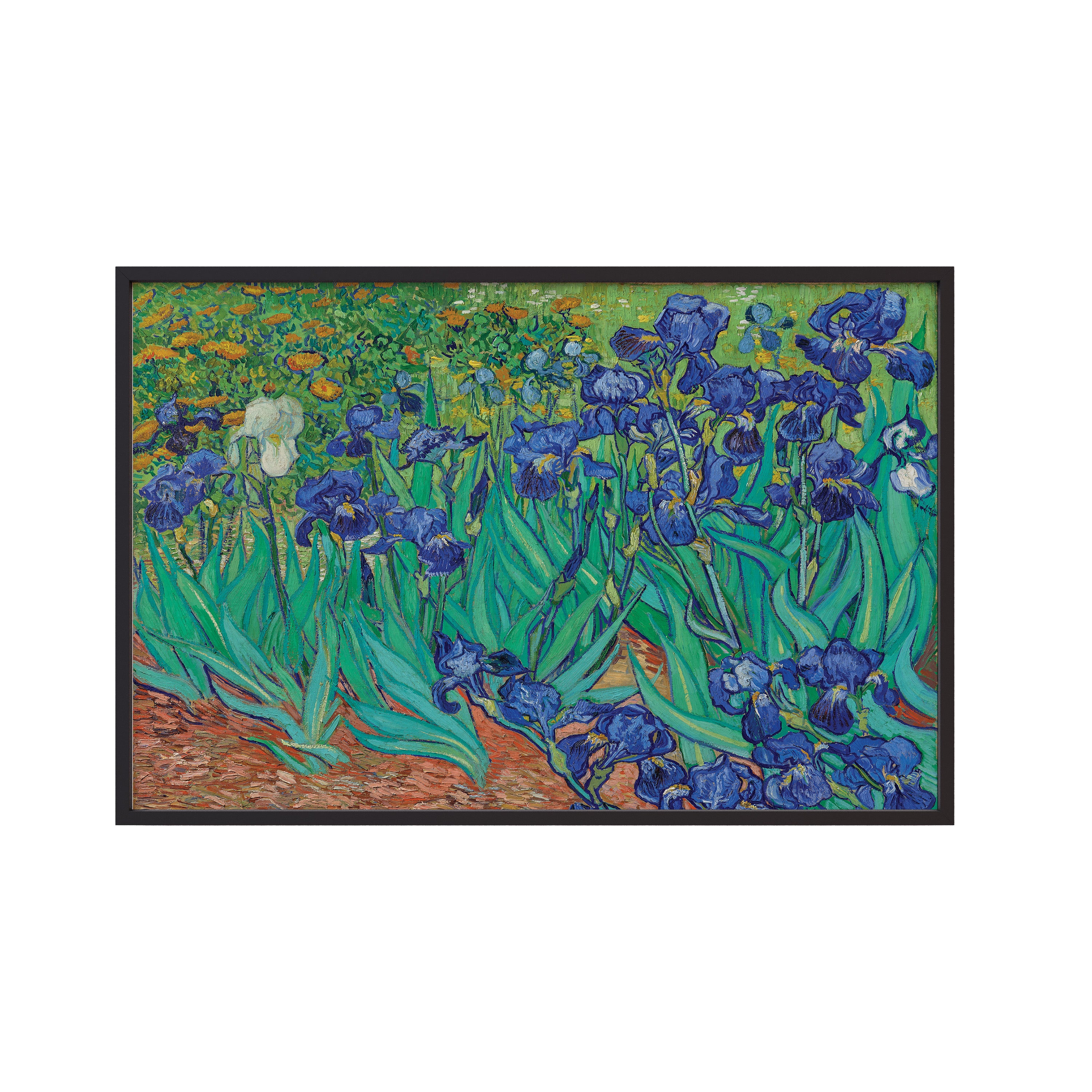 Irises (1889) by Vincent van Gogh